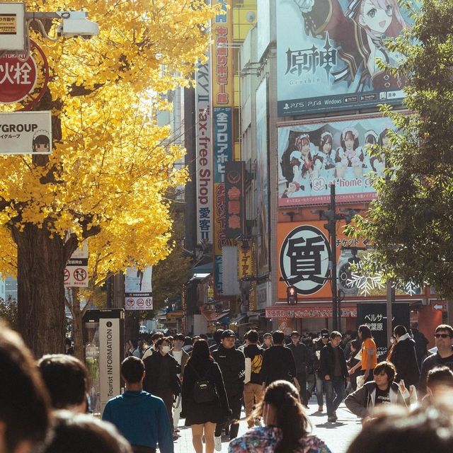 Akihabara Electric Town 🇯🇵