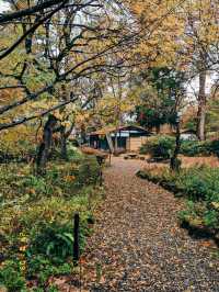 🇯🇵日本東北👣 秋田縣角館武家屋敷🍁