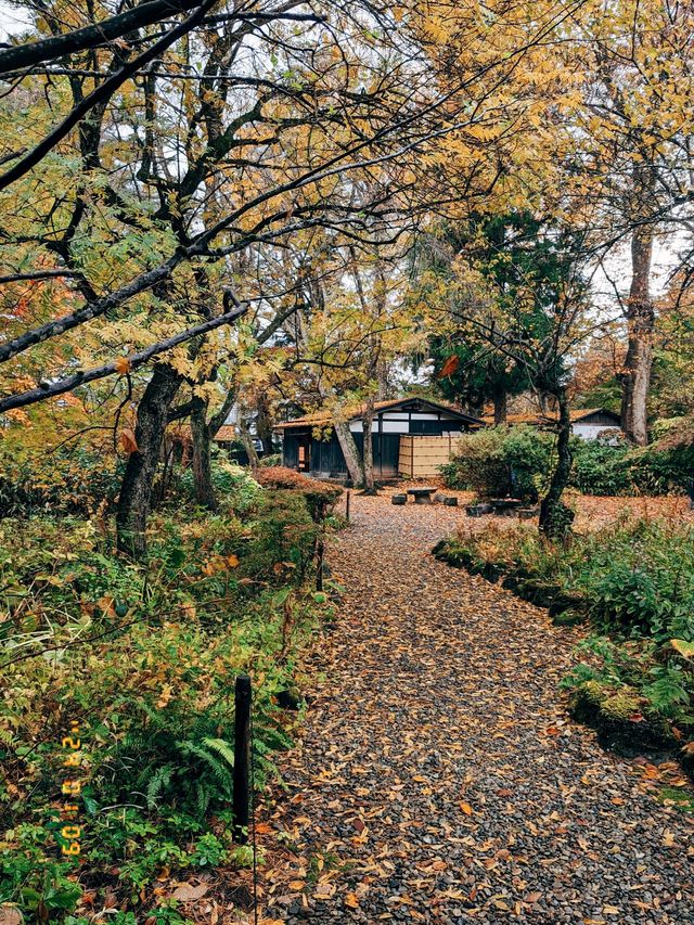 🇯🇵日本東北👣 秋田縣角館武家屋敷🍁