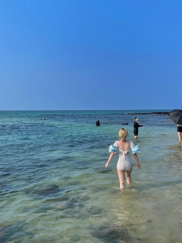 제주 동쪽 에메랄드빛 새화해변🏖