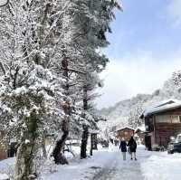 겨울왕국 시라카와고❄️