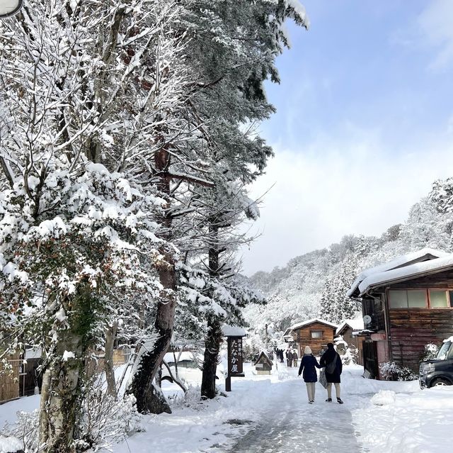 겨울왕국 시라카와고❄️