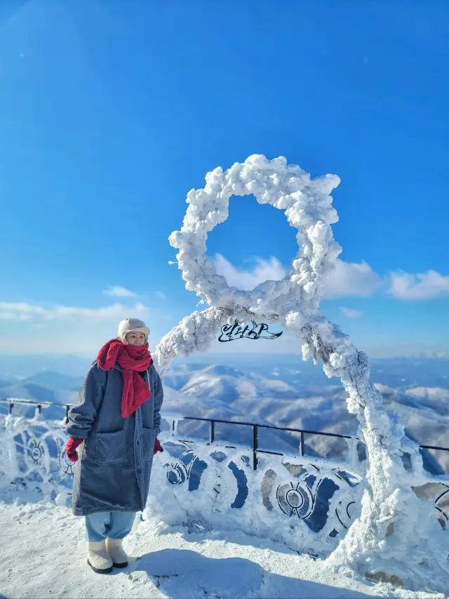 발왕산 꼭대기에서 인생 눈꽃을 만나다❄️🩵