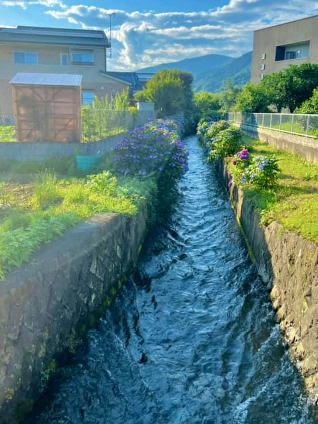 Kaisei Farm in Kanagawa