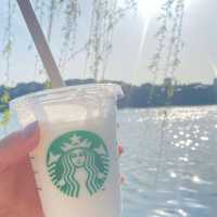 💖福岡🇯🇵💖都会にあるオシャレな公園🦢大濠公園🌈