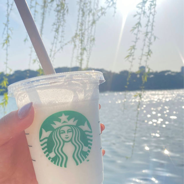 💖福岡🇯🇵💖都会にあるオシャレな公園🦢大濠公園🌈