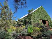 คาเฟ่สวยเขาใหญ่ The Birder's Lodge