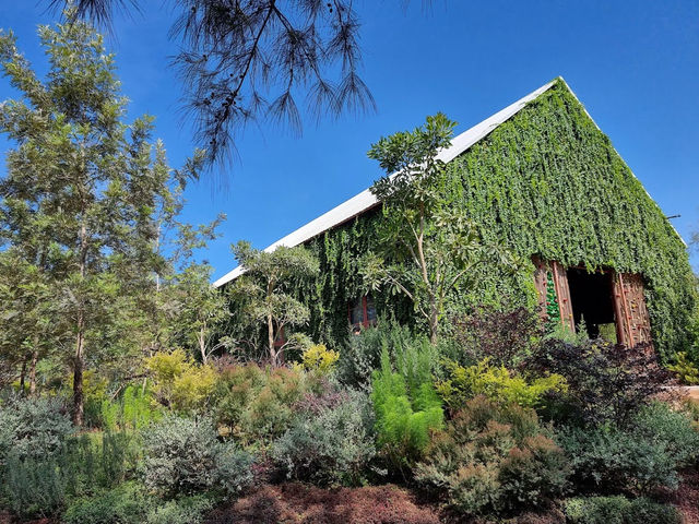 คาเฟ่สวยเขาใหญ่ The Birder's Lodge