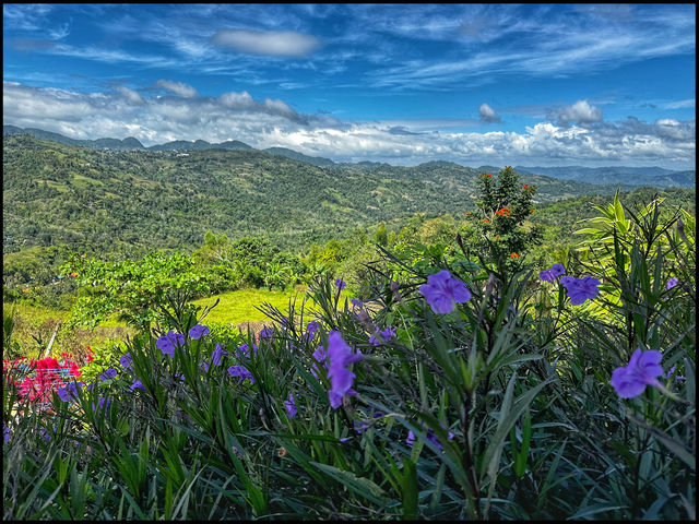 The Views from Sirao Garden in Cebu