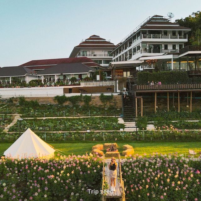 พาคนรักมานอนชมวิวริมแม่น้ำ ที่เชียงคาน
