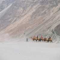 Hunder Sand Dunes w Camel Ride