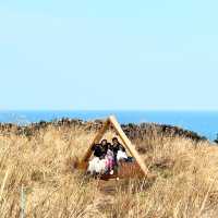 A Hidden Cafe in Jeju Island