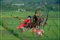 Flying Bird Paramotor Chiangmai