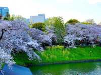 Chidorigafuchi Moat