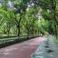 澳門大潭山郊野公園：親山體驗，美好記憶