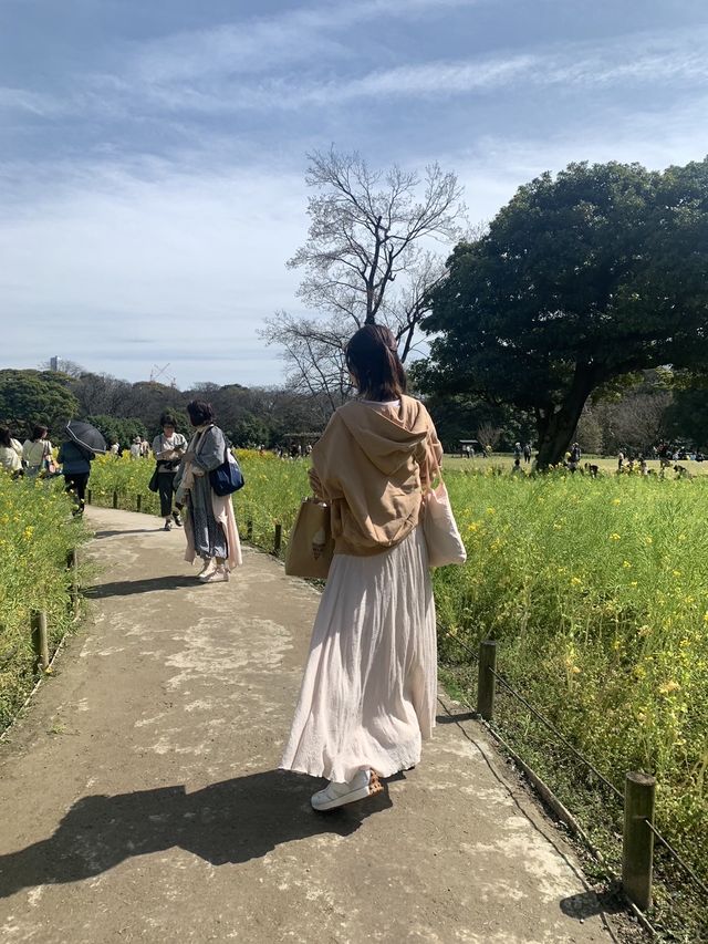 【菜の花畑が見頃★】浜離宮恩賜庭園