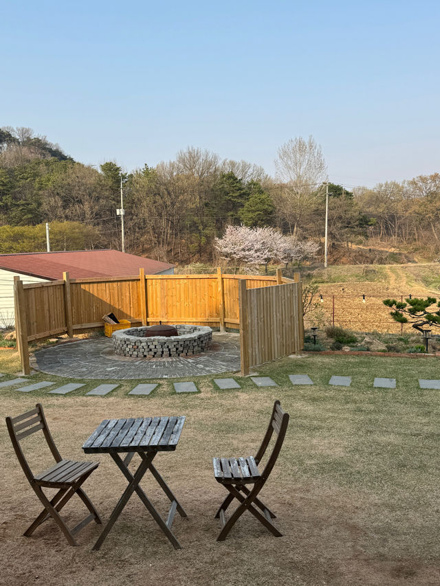 경기도 애견동반 가능한 카페 시숲