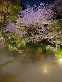 【東京】絶対に行ってほしい✨幻想的な世界