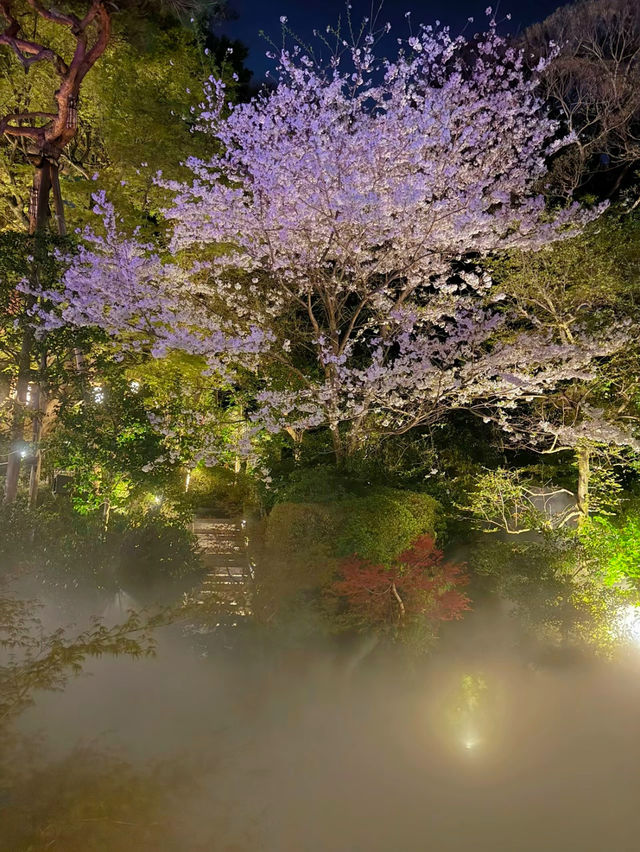 【東京】絶対に行ってほしい✨幻想的な世界