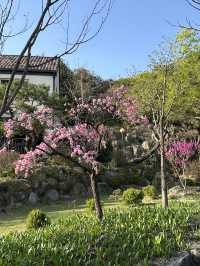예쁜 잔디밭 정원에 활짝 핀 🌷 봄의 향연을 느껴보실 수 있는 양평 대형 제빵카페 추천