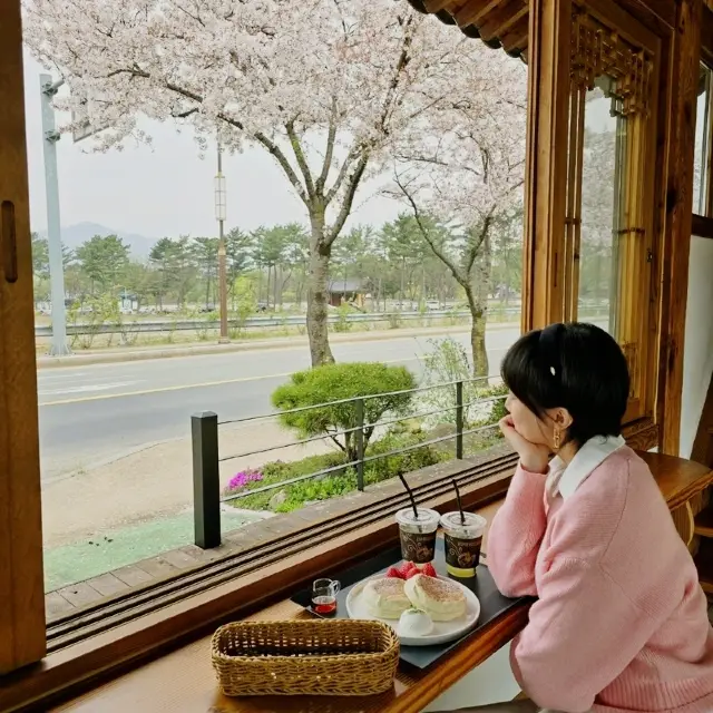 경주 오릉에서 즐기는 이색 디저트 카페