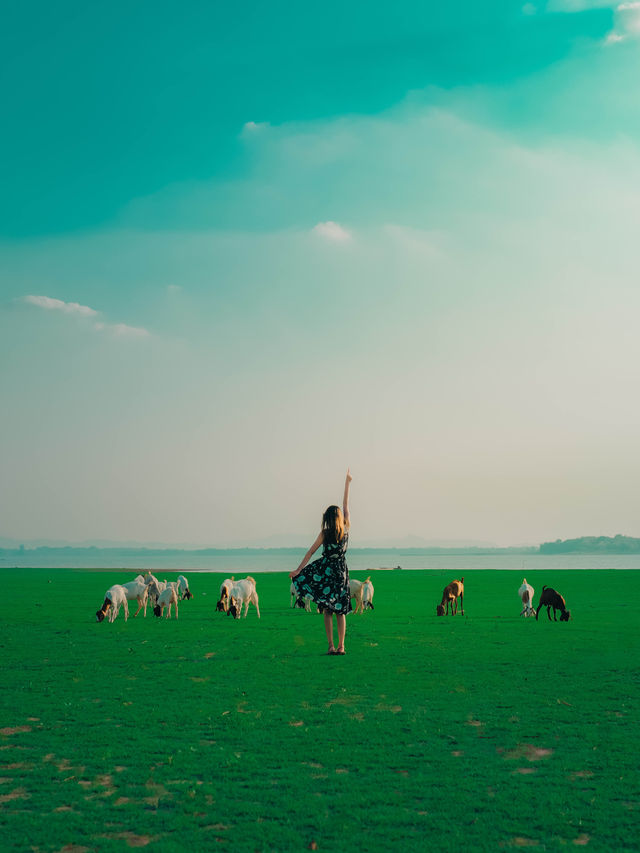 แลนด์มาร์คฤดูร้อน ! ท้ายเขื่อนป่าสักชลสิทธ์ 🐐🌳