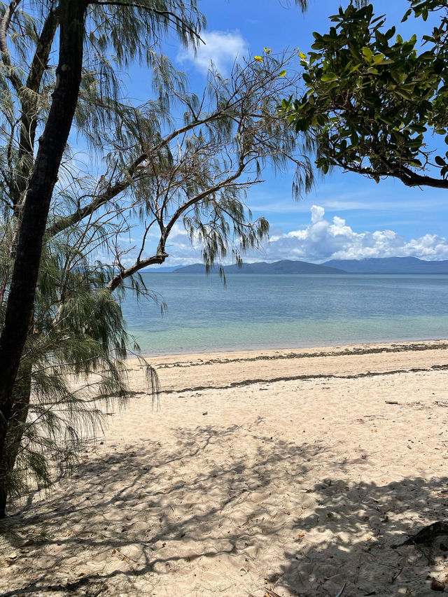 【🇦🇺】グリーン島🏝️💚 Green Island 