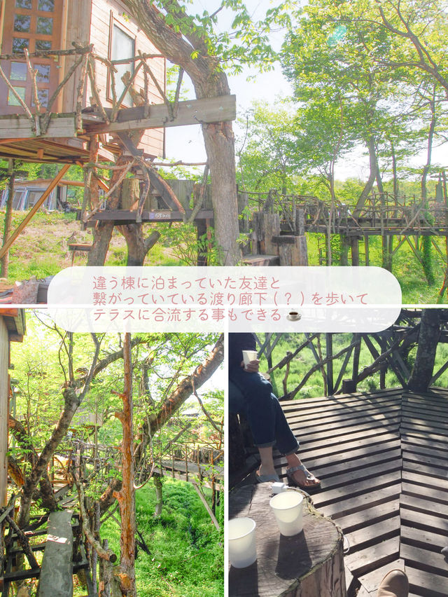 【栃木/那須】一度は泊まってみたいツリーハウス🌲