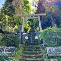 福岡景點～大悲王院～恬靜氛圍