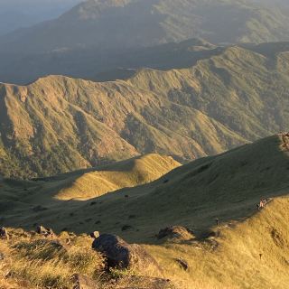 Mulayit 