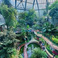 上海辰山植物園：綠色殿堂，世外桃源