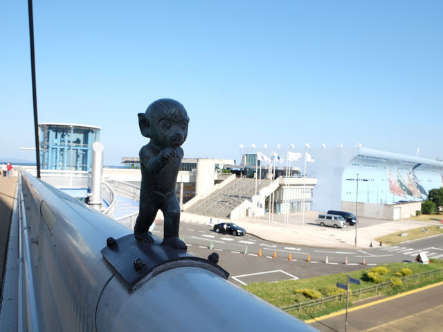 【福岡大分】海洋之卵水族館:海豚、海象表演,特別旅遊體驗 【福岡大分】海洋之卵水族館:海豚、海象表演,特別旅遊體驗