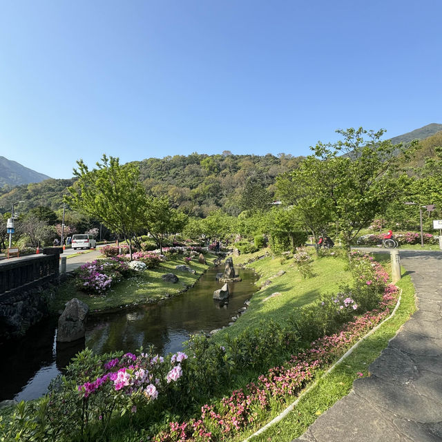 台北陽明山晴天一日遊🌱