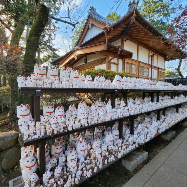 Lucky Cat Temple