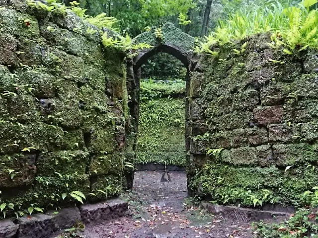 Terayama Charcoal Kiln 寺山炭窯跡