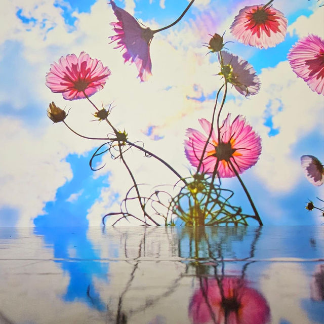 蜷川實花瞬間的永恆沉浸式藝術展