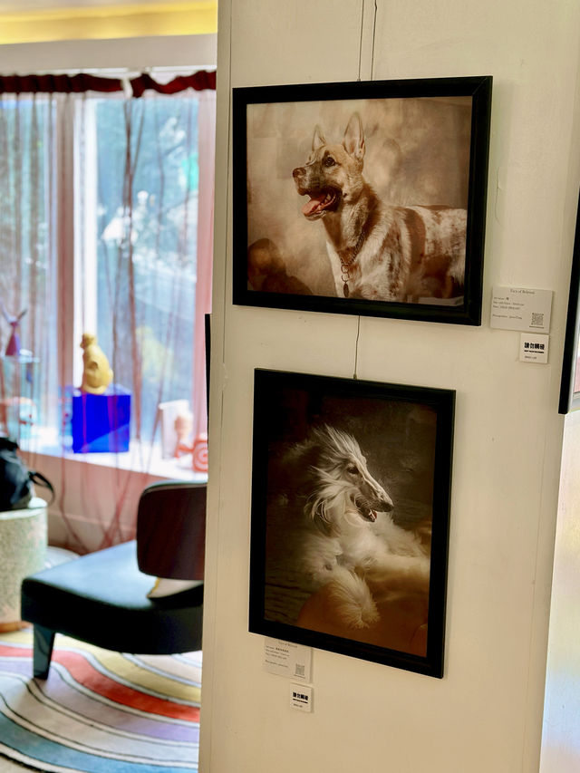 6️⃣月中環看展- 迷你中環寵物攝影展🐶🐱