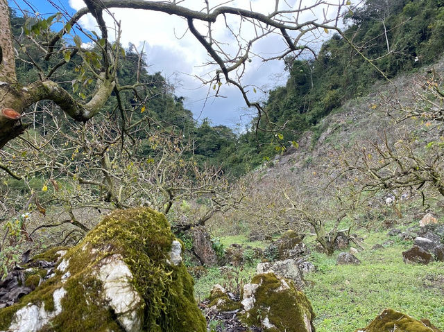 Na Ka Plum Valley