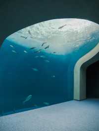 日本 ｜ 香川縣海濱絕景 四國水族館🐟