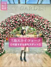 〜静岡県〜可愛すぎる🌸静岡おすすめスポット🗻