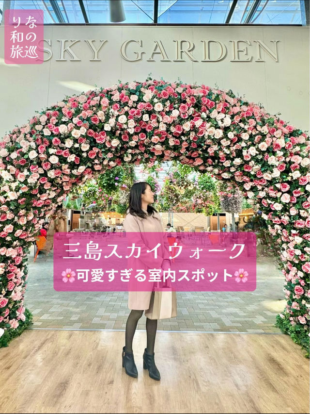 〜静岡県〜可愛すぎる🌸静岡おすすめスポット🗻