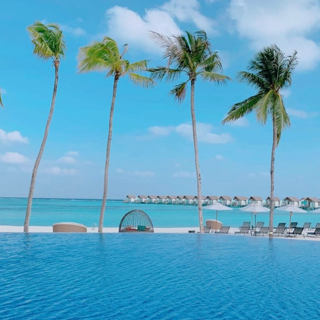 Tropical Bliss: Exploring Maafushi Island 🇲🇻