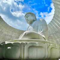 Serenity Amidst Architectural Splendor