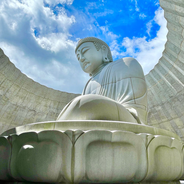 Serenity Amidst Architectural Splendor