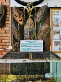 The first and largest crocodile farm in northern Sarawak🇲🇾