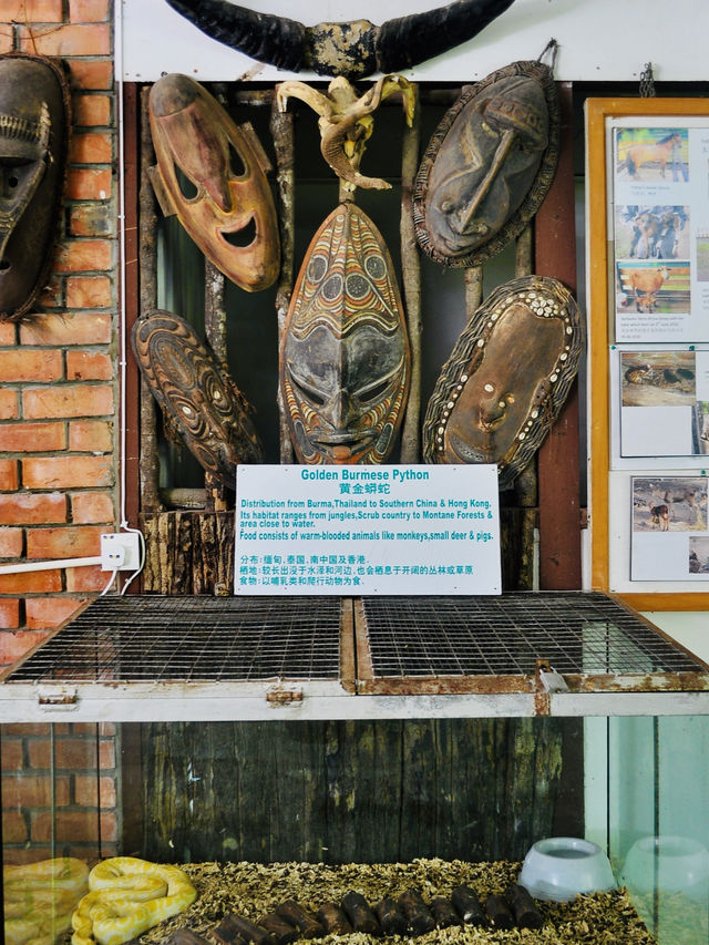 The first and largest crocodile farm in northern Sarawak🇲🇾