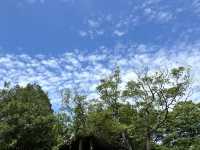 苗栗明德水庫：四季美景，適合欣賞自然景色和休閒活動