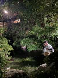 〜神奈川県〜竹林の小径を独り占め！絶景温泉♨️