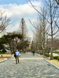 【首爾】延世大學：SKY之一的歷史悠久大學，感受濃厚的人文氣息