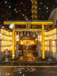 【京都最強金運神社】2枚目写真保存でもご利益💰可愛い御守りアイテムと御朱印の紹介⛩